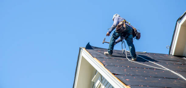 Professional Roofing Contractor in Mahomet, IL